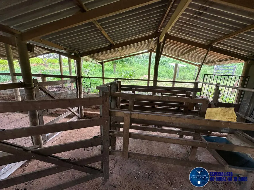 Chácara à venda, 40000m2 em Petrolina De Goias - GO - imagem 8 Foto 8 de Chácara à venda, 40000m2 em Petrolina De Goias - GO