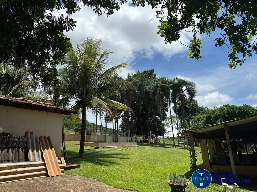 Chácara à venda, 40000m2 em Petrolina De Goias - GO - imagem 6 Foto 6 de Chácara à venda, 40000m2 em Petrolina De Goias - GO