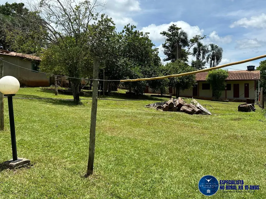 Chácara à venda, 40000m2 em Petrolina De Goias - GO - imagem 3 Foto 3 de Chácara à venda, 40000m2 em Petrolina De Goias - GO