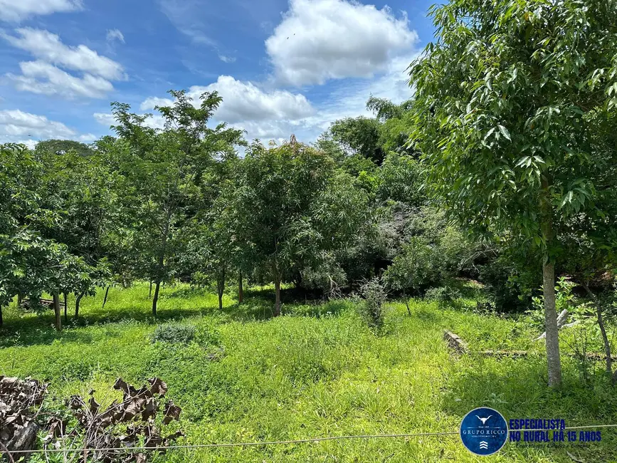 Chácara à venda, 40000m2 em Petrolina De Goias - GO - imagem 7 Foto 7 de Chácara à venda, 40000m2 em Petrolina De Goias - GO