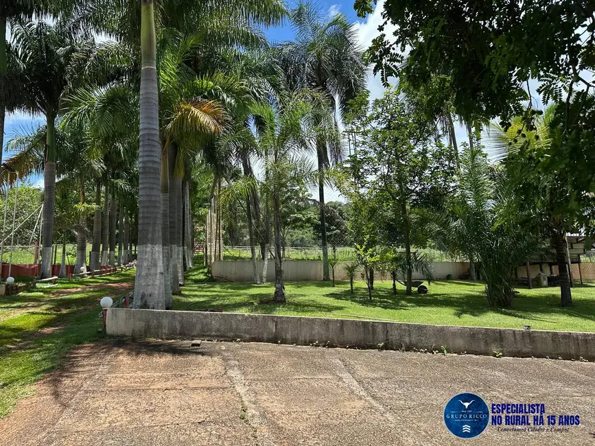 Chácara à venda, 40000m2 em Petrolina De Goias - GO - imagem 5 Foto 5 de Chácara à venda, 40000m2 em Petrolina De Goias - GO