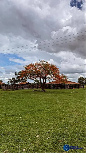 Foto 1 de Fazenda / Haras à venda, 447m2 em Sao Miguel Do Araguaia - GO