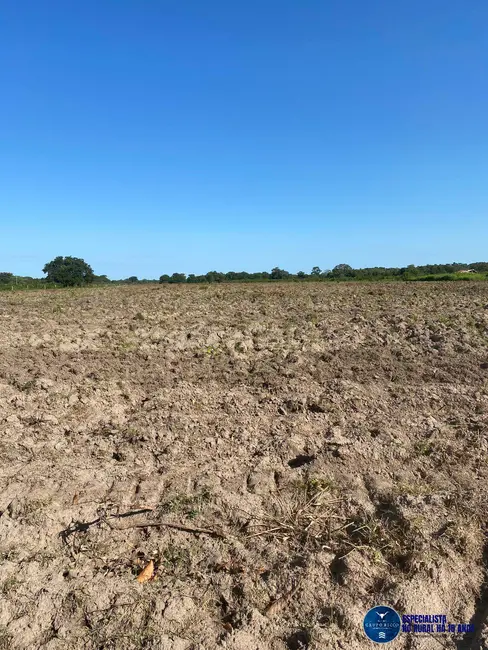 Foto 2 de Fazenda / Haras à venda, 447m2 em Sao Miguel Do Araguaia - GO