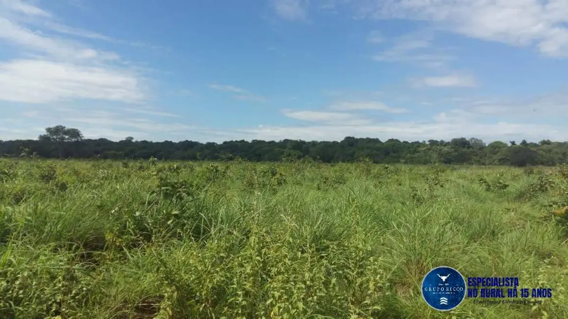 Foto 4 de Fazenda / Haras à venda, 447m2 em Sao Miguel Do Araguaia - GO