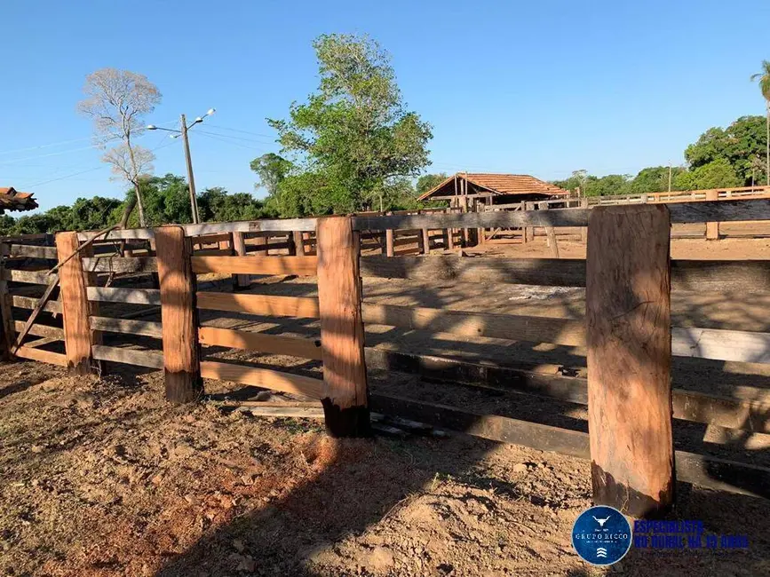Foto 8 de Fazenda / Haras à venda, 447m2 em Sao Miguel Do Araguaia - GO