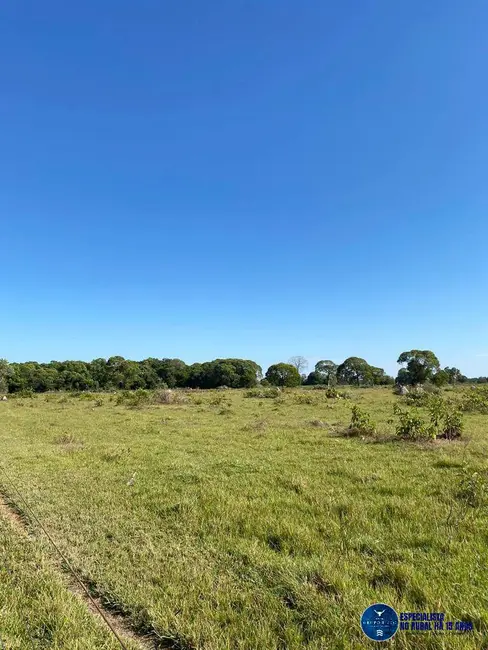 Foto 5 de Fazenda / Haras à venda, 447m2 em Sao Miguel Do Araguaia - GO
