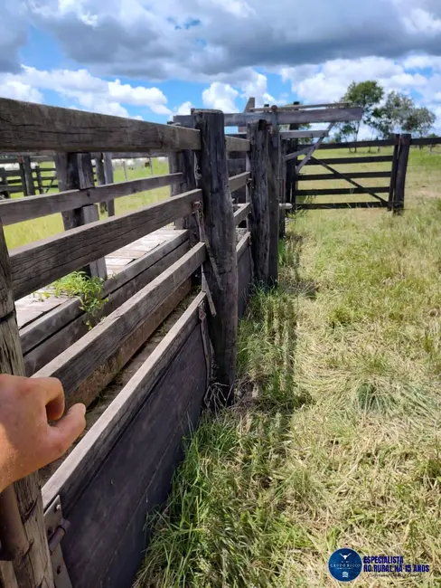 Foto 3 de Fazenda / Haras com 3 quartos à venda, 105m2 em Fazenda Nova - GO