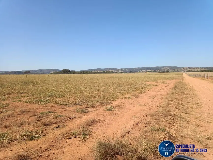 Foto 8 de Fazenda / Haras com 3 quartos à venda, 105m2 em Fazenda Nova - GO