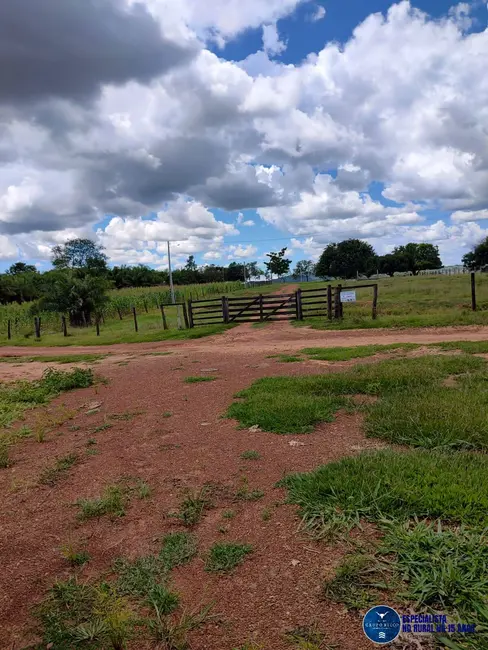 Foto 6 de Fazenda / Haras com 3 quartos à venda, 105m2 em Fazenda Nova - GO