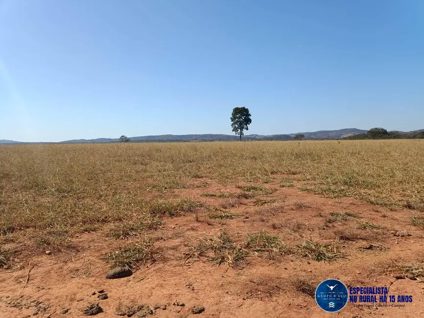 Foto 7 de Fazenda / Haras com 3 quartos à venda, 105m2 em Fazenda Nova - GO