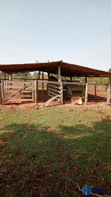 Chácara com 3 quartos à venda, 9m2 em Itaucu - GO - imagem 6 Foto 6 de Chácara com 3 quartos à venda, 9m2 em Itaucu - GO