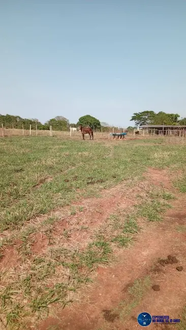Chácara com 3 quartos à venda, 9m2 em Itaucu - GO - imagem 8 Foto 8 de Chácara com 3 quartos à venda, 9m2 em Itaucu - GO