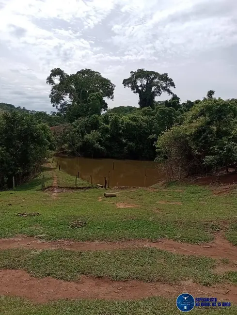 Chácara à venda, 16m2 em Goianapolis - GO - imagem 10 Foto 10 de Chácara à venda, 16m2 em Goianapolis - GO