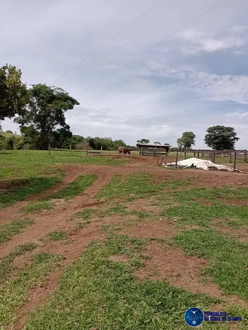 Chácara à venda, 16m2 em Goianapolis - GO - imagem 7 Foto 7 de Chácara à venda, 16m2 em Goianapolis - GO