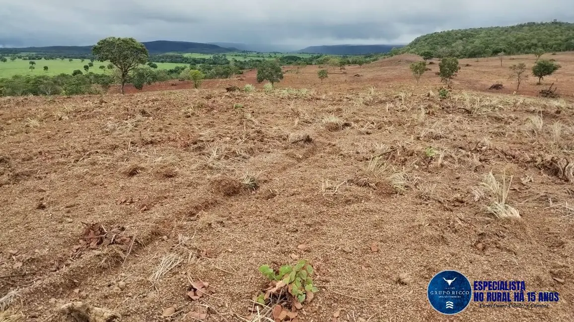 Foto 3 de Fazenda / Haras à venda, 106m2 em Bom Jardim De Goias - GO