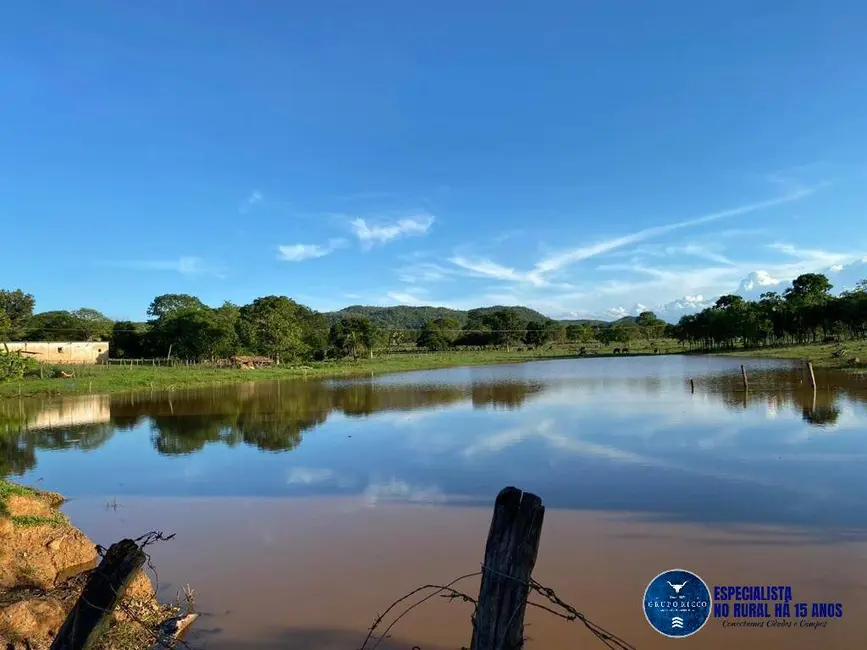 Foto 5 de Fazenda / Haras à venda, 90m2 em Israelandia - GO