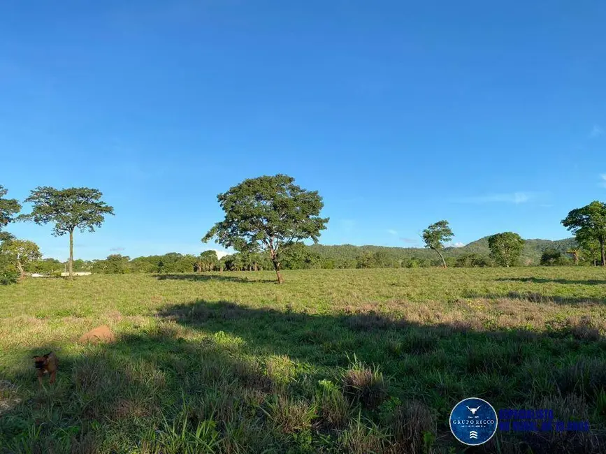 Foto 8 de Fazenda / Haras à venda, 90m2 em Israelandia - GO