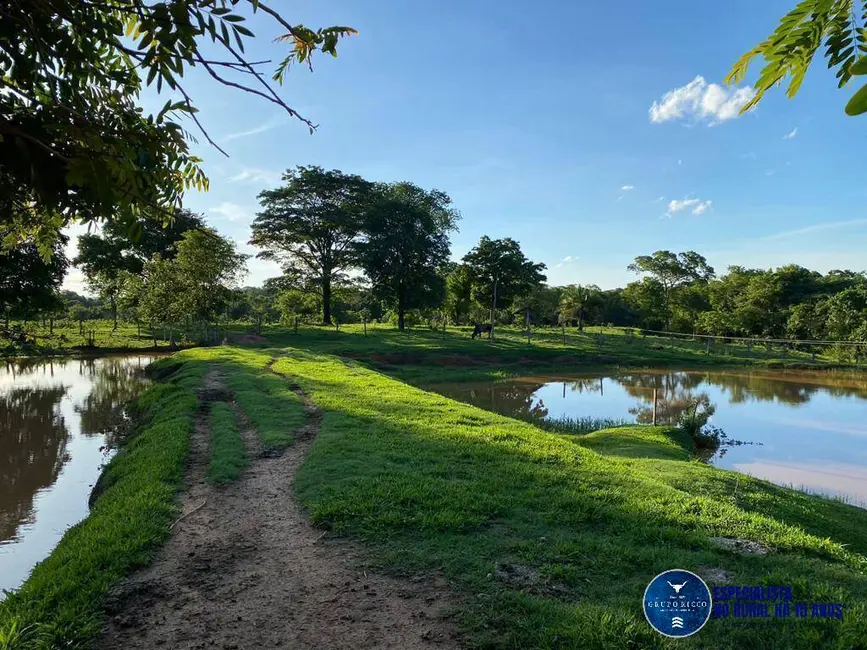 Foto 1 de Fazenda / Haras à venda, 90m2 em Israelandia - GO
