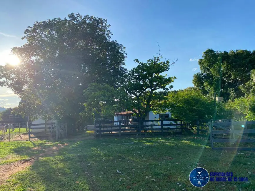 Foto 4 de Fazenda / Haras à venda, 90m2 em Israelandia - GO