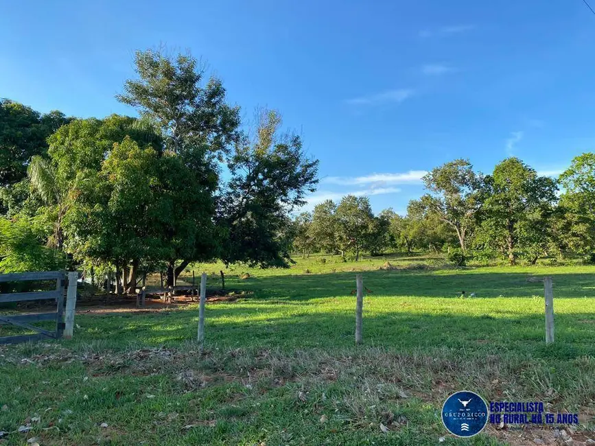 Foto 2 de Fazenda / Haras à venda, 90m2 em Israelandia - GO