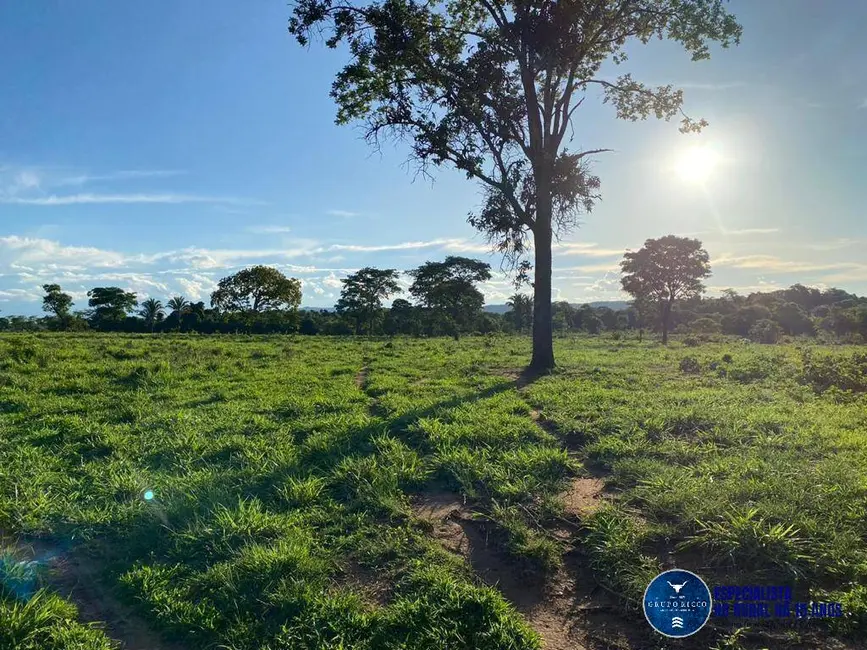 Foto 7 de Fazenda / Haras à venda, 90m2 em Israelandia - GO
