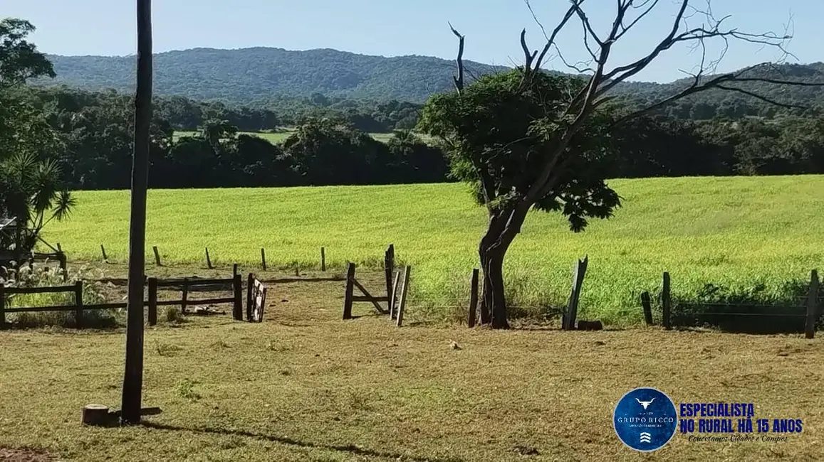 Fazenda / Haras à venda, 92m2 em Jaupaci - GO - imagem 8 Foto 8 de Fazenda / Haras à venda, 92m2 em Jaupaci - GO