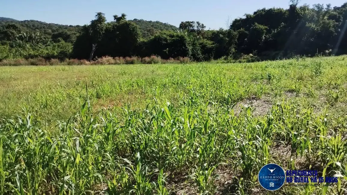 Fazenda / Haras à venda, 92m2 em Jaupaci - GO - imagem 7 Foto 7 de Fazenda / Haras à venda, 92m2 em Jaupaci - GO