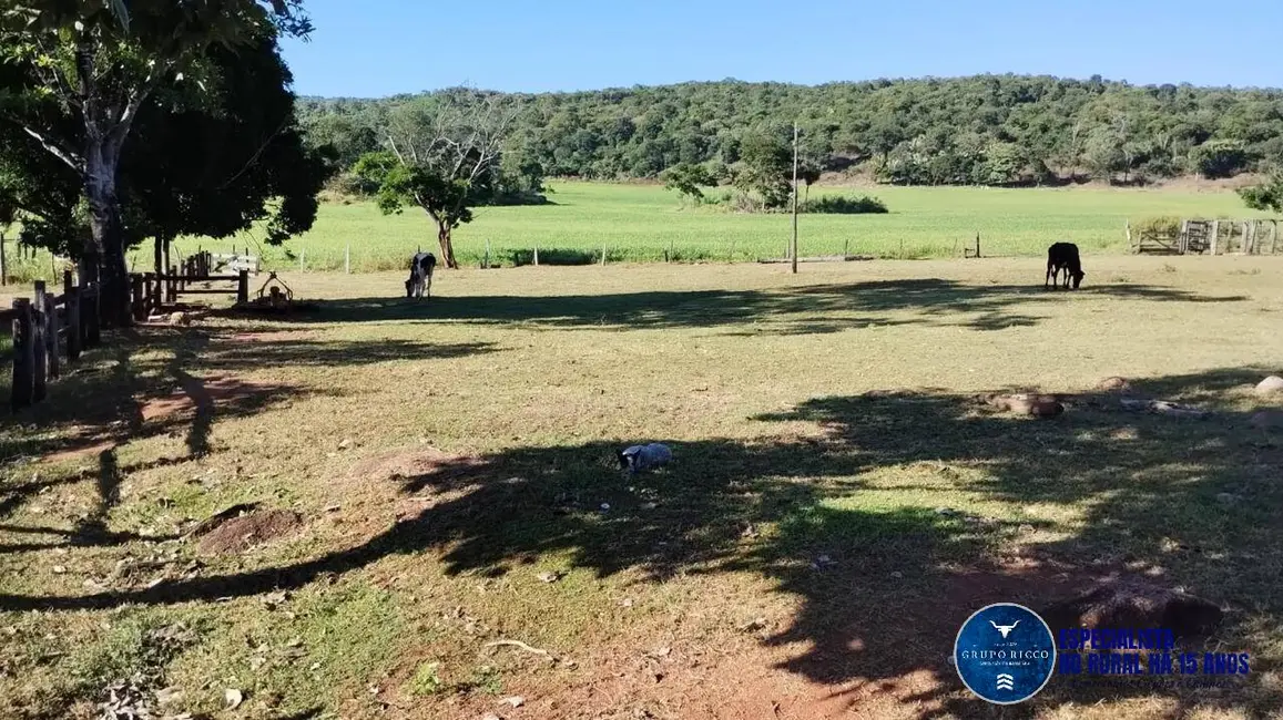 Fazenda / Haras à venda, 92m2 em Jaupaci - GO - imagem 3 Foto 3 de Fazenda / Haras à venda, 92m2 em Jaupaci - GO