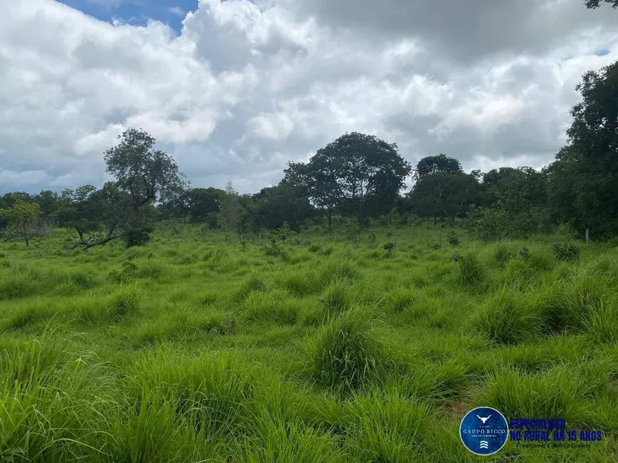 Foto 1 de Fazenda / Haras à venda, 30m2 em Jussara - GO