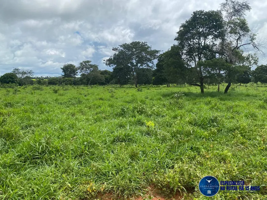 Fazenda / Haras à venda, 30m2 em Jussara - GO - imagem 4 Foto 4 de Fazenda / Haras à venda, 30m2 em Jussara - GO