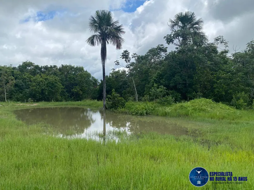 Fazenda / Haras à venda, 30m2 em Jussara - GO - imagem 2 Foto 2 de Fazenda / Haras à venda, 30m2 em Jussara - GO