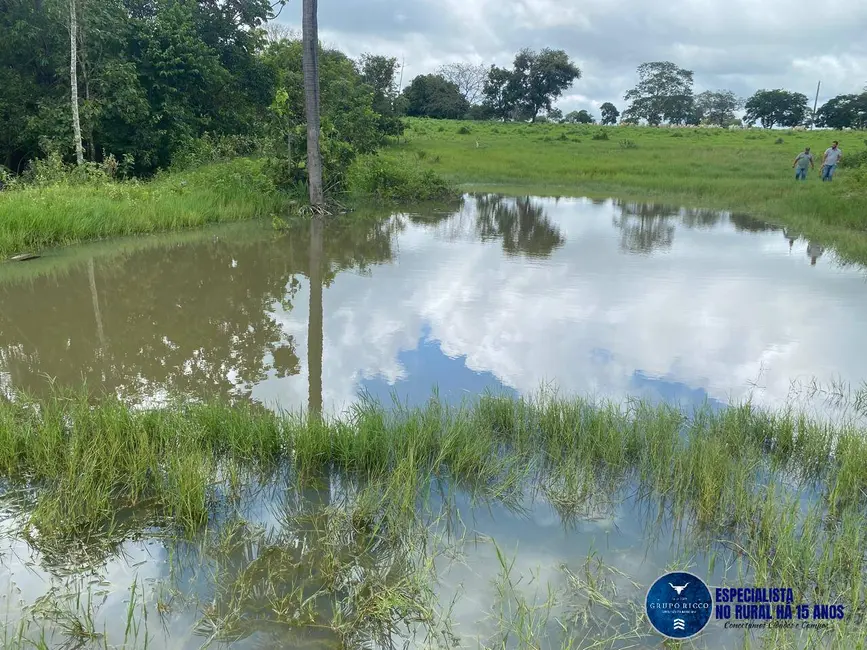 Fazenda / Haras à venda, 30m2 em Jussara - GO - imagem 3 Foto 3 de Fazenda / Haras à venda, 30m2 em Jussara - GO