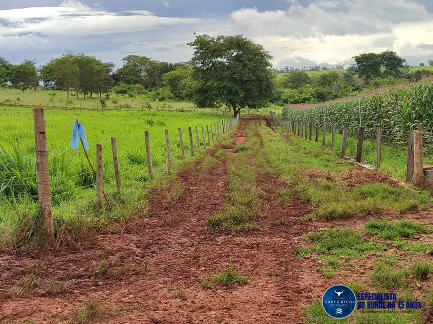 Chácara com 4 quartos à venda, 8m2 em Taquaral De Goias - GO - imagem 9 Foto 9 de Chácara com 4 quartos à venda, 8m2 em Taquaral De Goias - GO