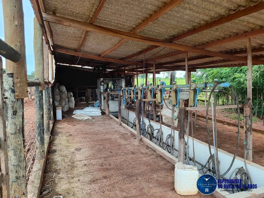 Chácara com 4 quartos à venda, 8m2 em Taquaral De Goias - GO - imagem 7 Foto 7 de Chácara com 4 quartos à venda, 8m2 em Taquaral De Goias - GO