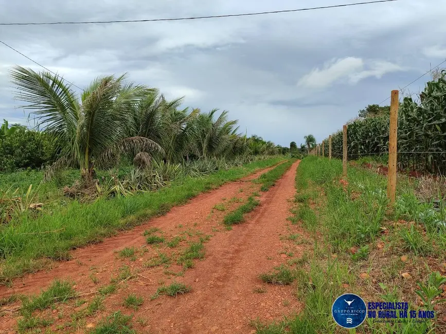 Chácara com 4 quartos à venda, 8m2 em Taquaral De Goias - GO - imagem 6 Foto 6 de Chácara com 4 quartos à venda, 8m2 em Taquaral De Goias - GO