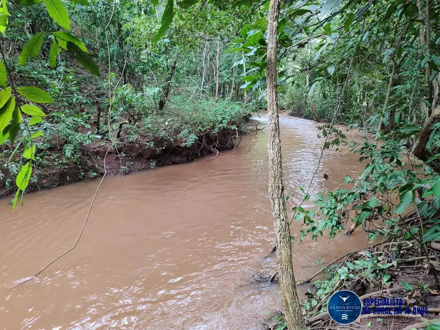 Chácara com 4 quartos à venda, 8m2 em Taquaral De Goias - GO - imagem 3 Foto 3 de Chácara com 4 quartos à venda, 8m2 em Taquaral De Goias - GO