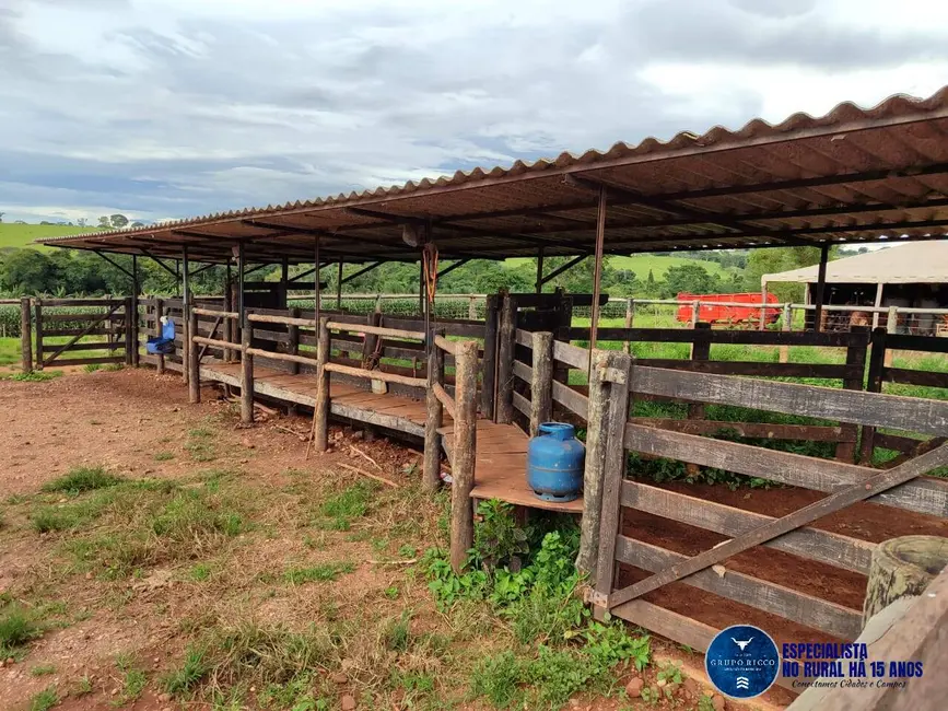 Chácara com 4 quartos à venda, 8m2 em Taquaral De Goias - GO - imagem 4 Foto 4 de Chácara com 4 quartos à venda, 8m2 em Taquaral De Goias - GO