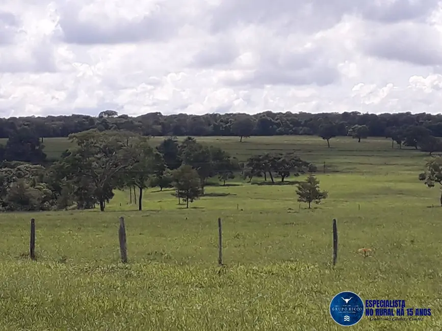 Foto 7 de Chácara à venda, 13m2 em Jaragua - GO