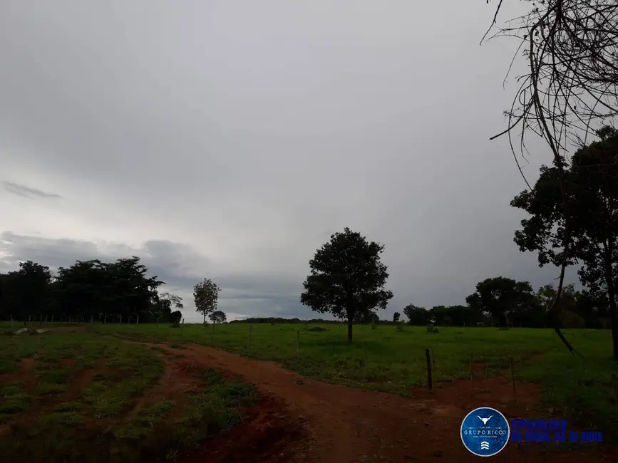 Foto 6 de Chácara à venda, 13m2 em Jaragua - GO