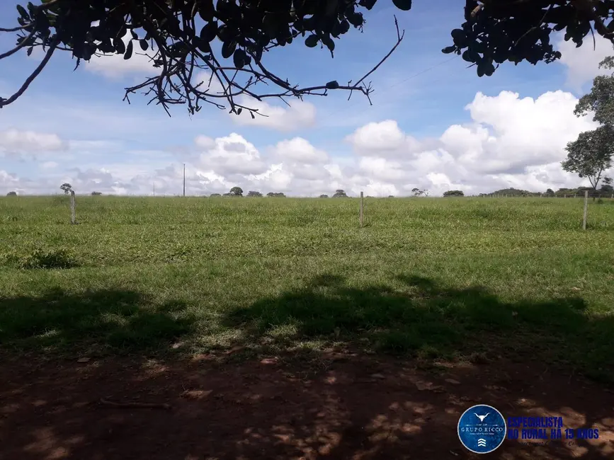 Foto 4 de Chácara à venda, 13m2 em Jaragua - GO