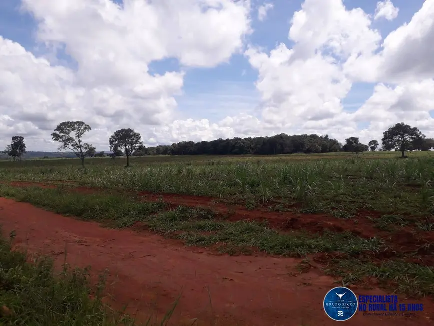 Foto 9 de Chácara à venda, 13m2 em Jaragua - GO