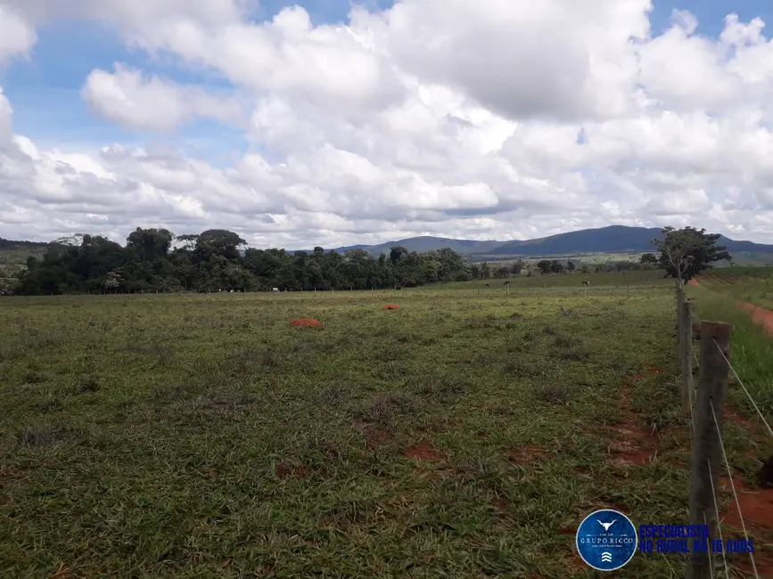Foto 3 de Chácara à venda, 13m2 em Jaragua - GO