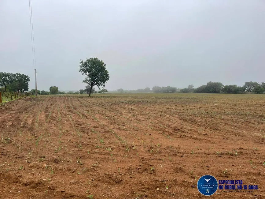 Foto 1 de Chácara à venda, 9m2 em Matrincha - GO