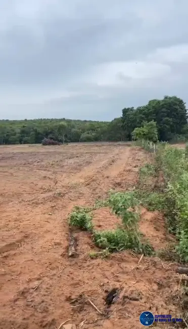 Foto 2 de Fazenda / Haras à venda, 143m2 em Bom Jardim De Goias - GO