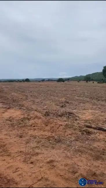 Foto 3 de Fazenda / Haras à venda, 143m2 em Bom Jardim De Goias - GO
