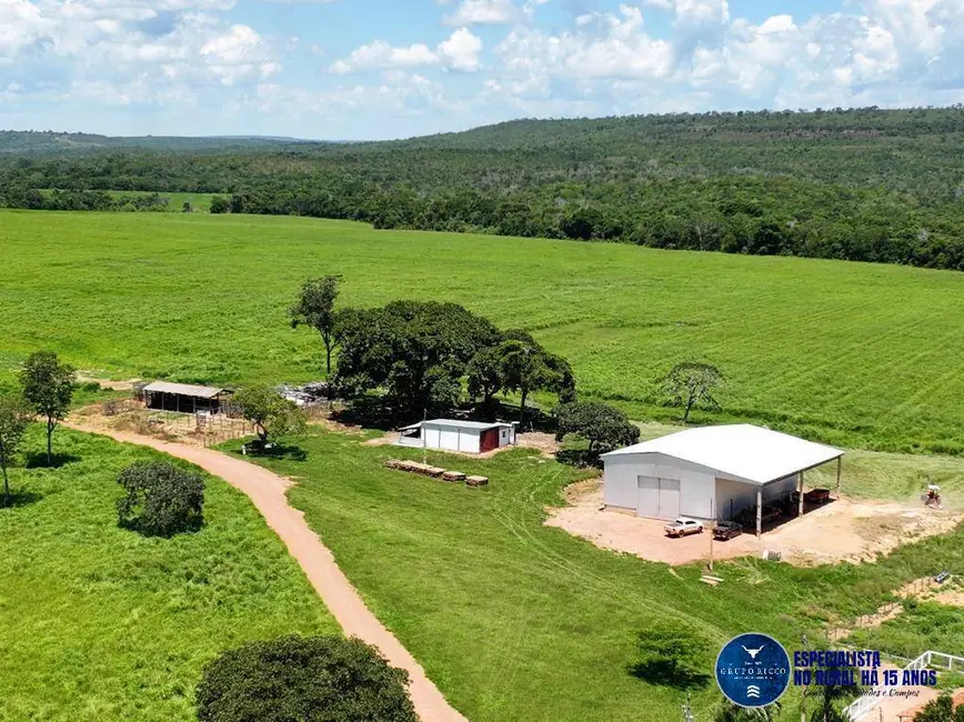 Foto 2 de Fazenda / Haras à venda, 1822m2 em Primavera Do Leste - MT
