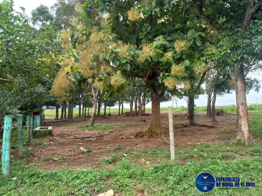 Foto 9 de Chácara com 3 quartos à venda, 8m2 em Itaberai - GO