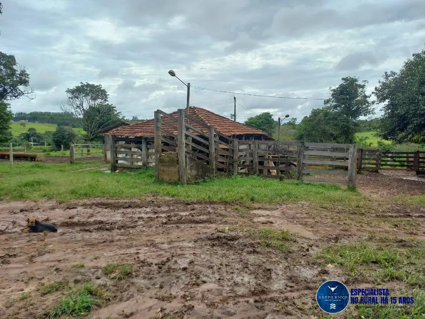 Foto 6 de Chácara com 3 quartos à venda, 8m2 em Itaberai - GO