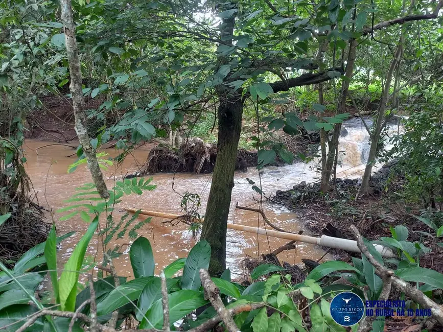 Foto 4 de Chácara com 3 quartos à venda, 8m2 em Itaberai - GO