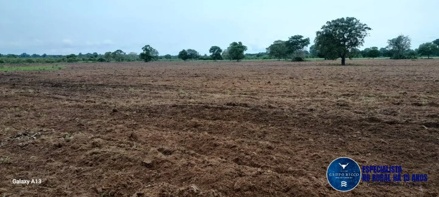 Foto 1 de Fazenda / Haras à venda, 114m2 em Araguaiana - MT